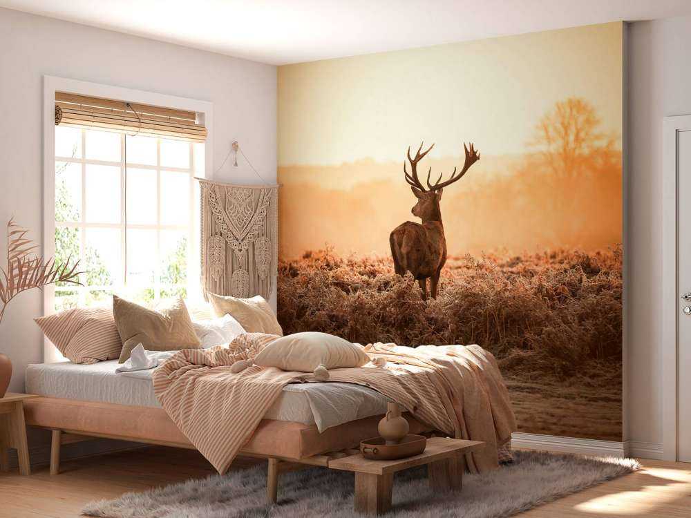 Cerf au lever du soleil