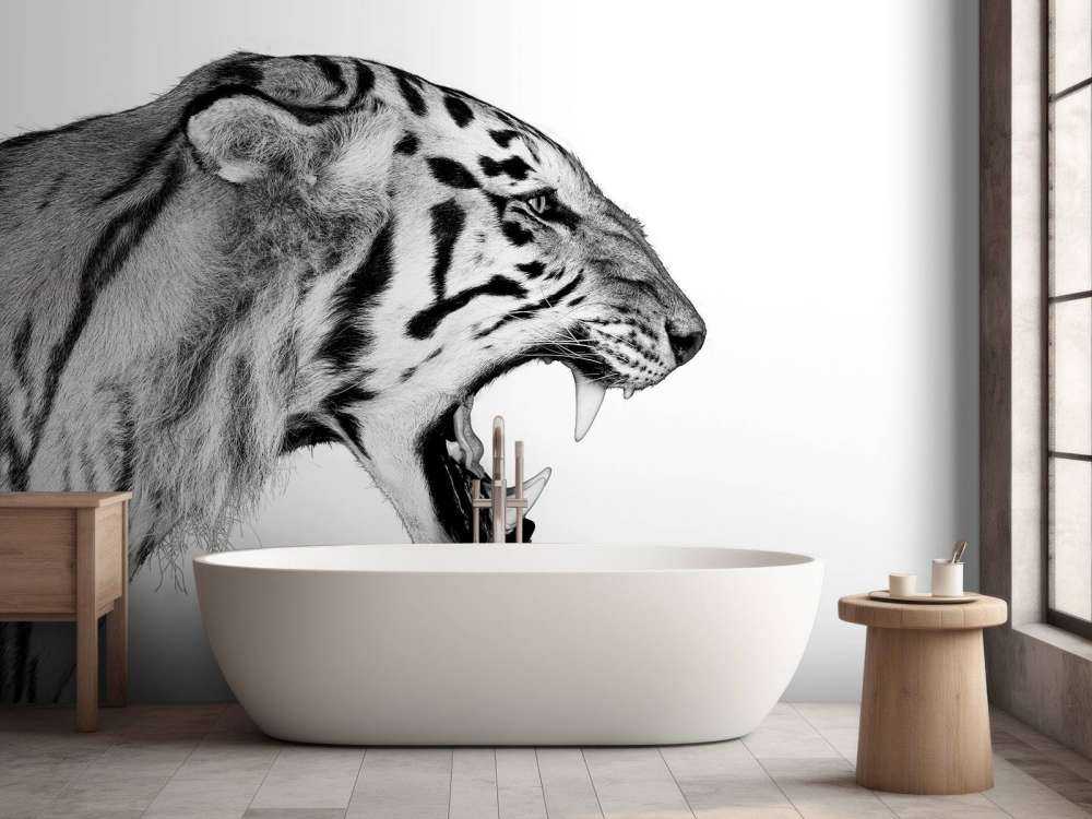 Tigre rugissant blanc