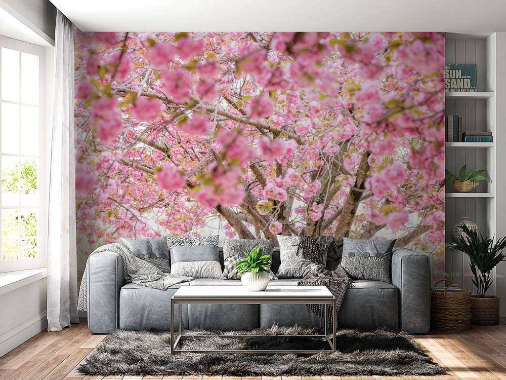 Arbre en fleurs