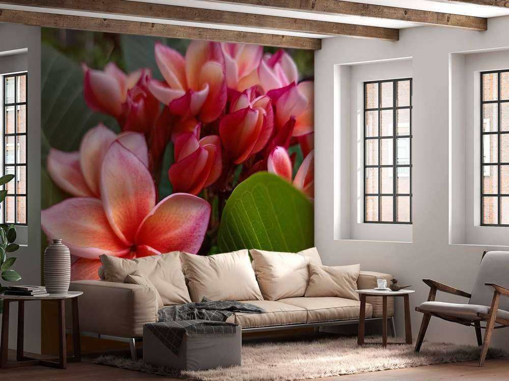 Fleurs tropicales