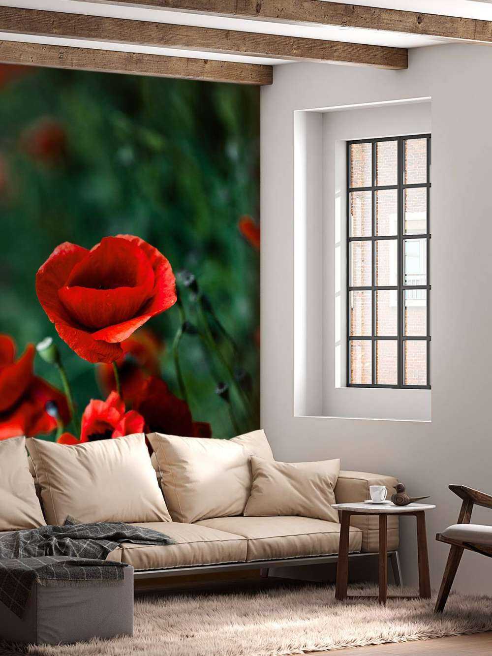 Coquelicots et herbe