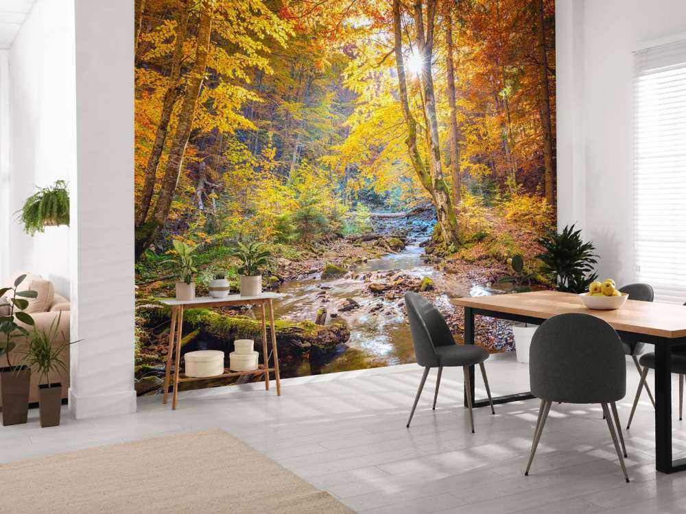 Automne dans une forêt sauvage