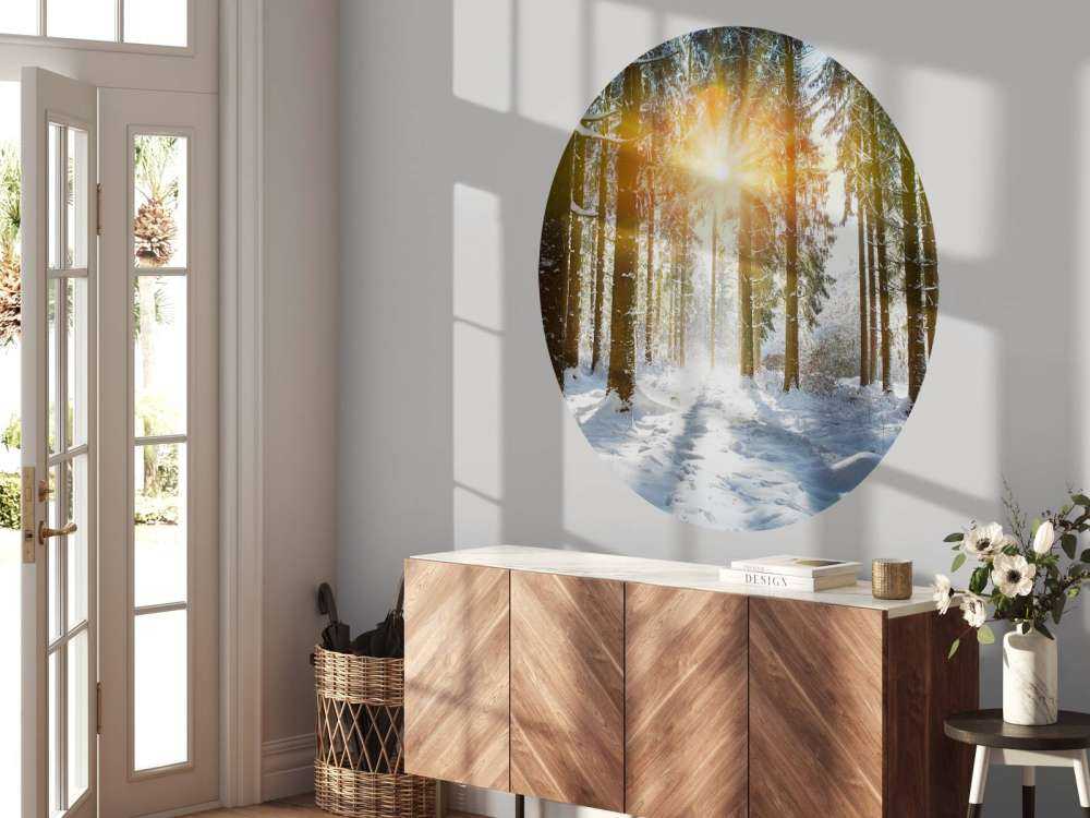 Lumière du soleil dans une forêt d'hiver