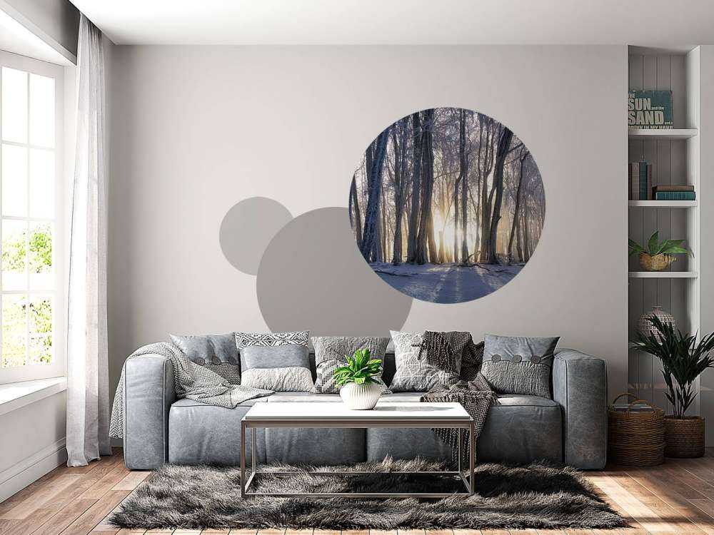 Arbres gelés