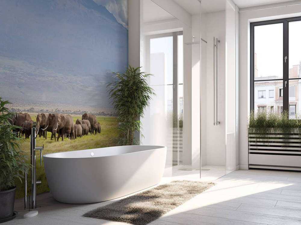 Eléphants d'Afrique