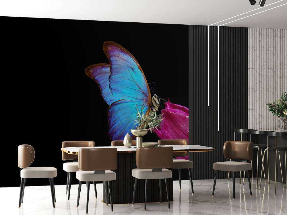 Papillon sur tulipe