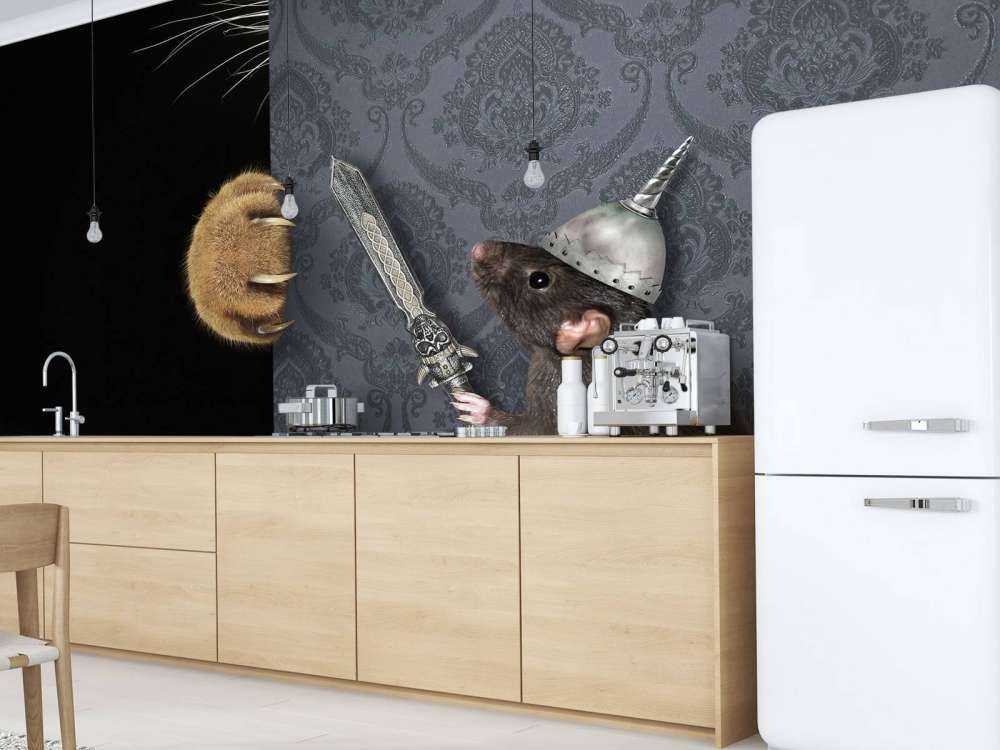 Chat et souris