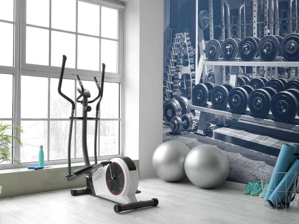 Ancien gymnase