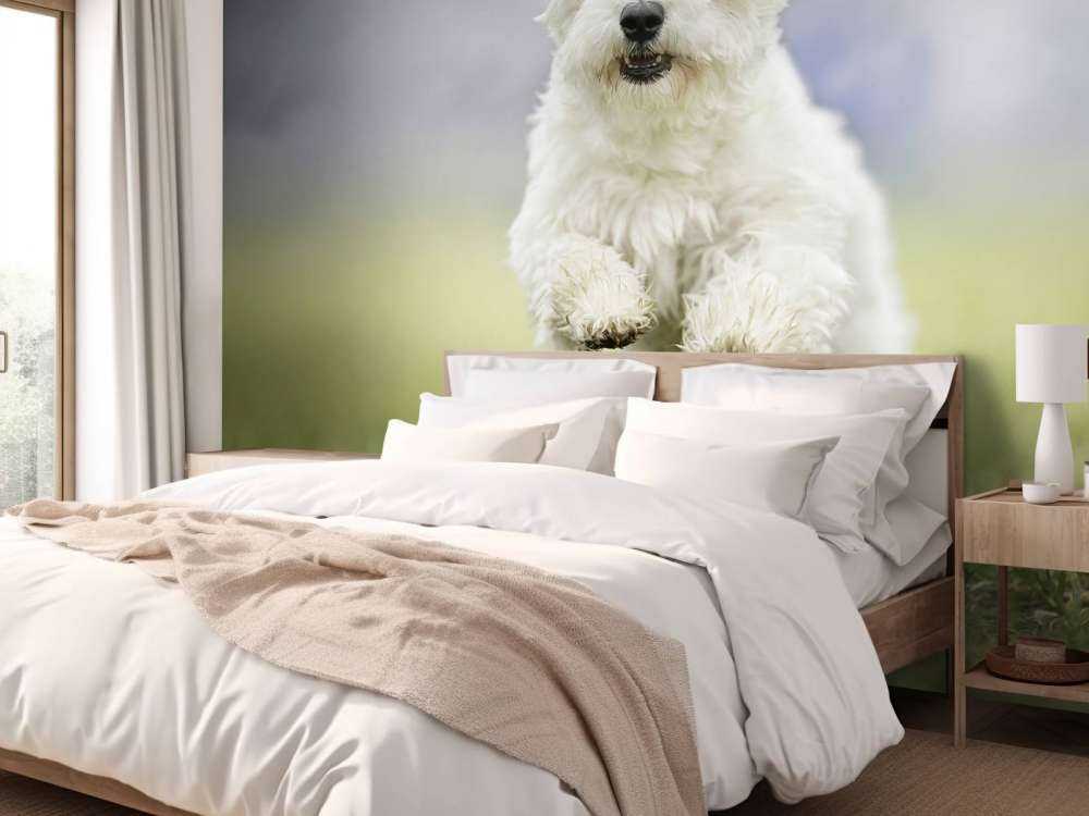 Chien courant