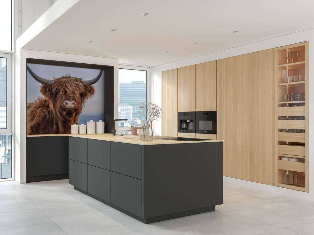 Le Highland écossais en vedette