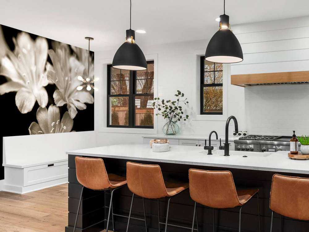 Fleur de lewisia en gros plan