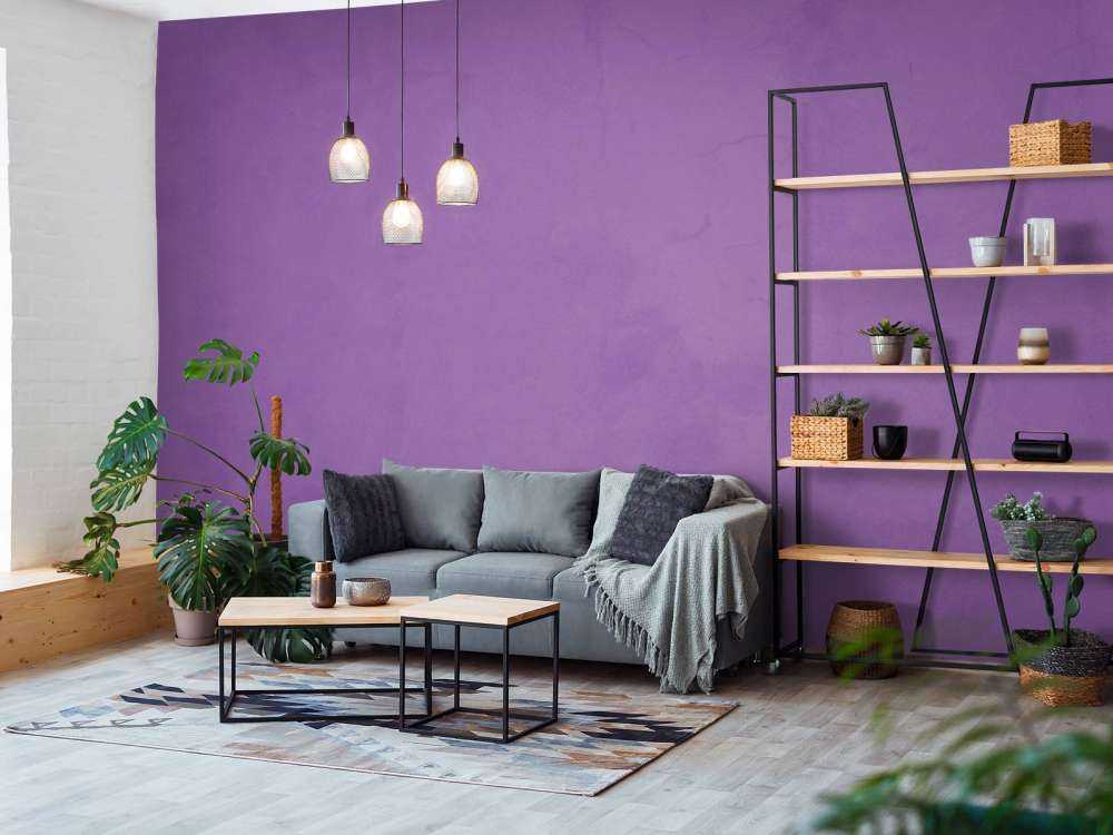 Béton violet Max