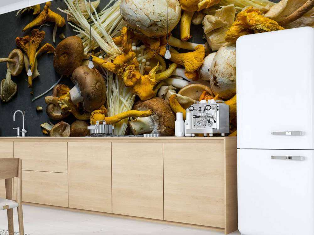 Différents champignons