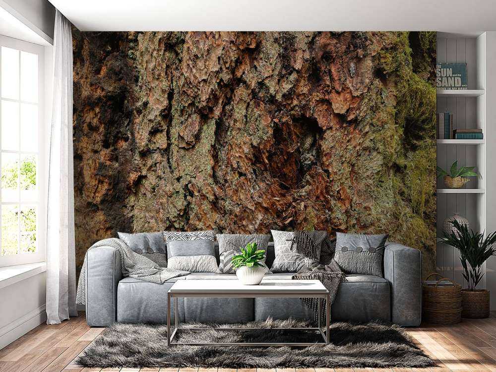Écorce d'arbre vieil arbre