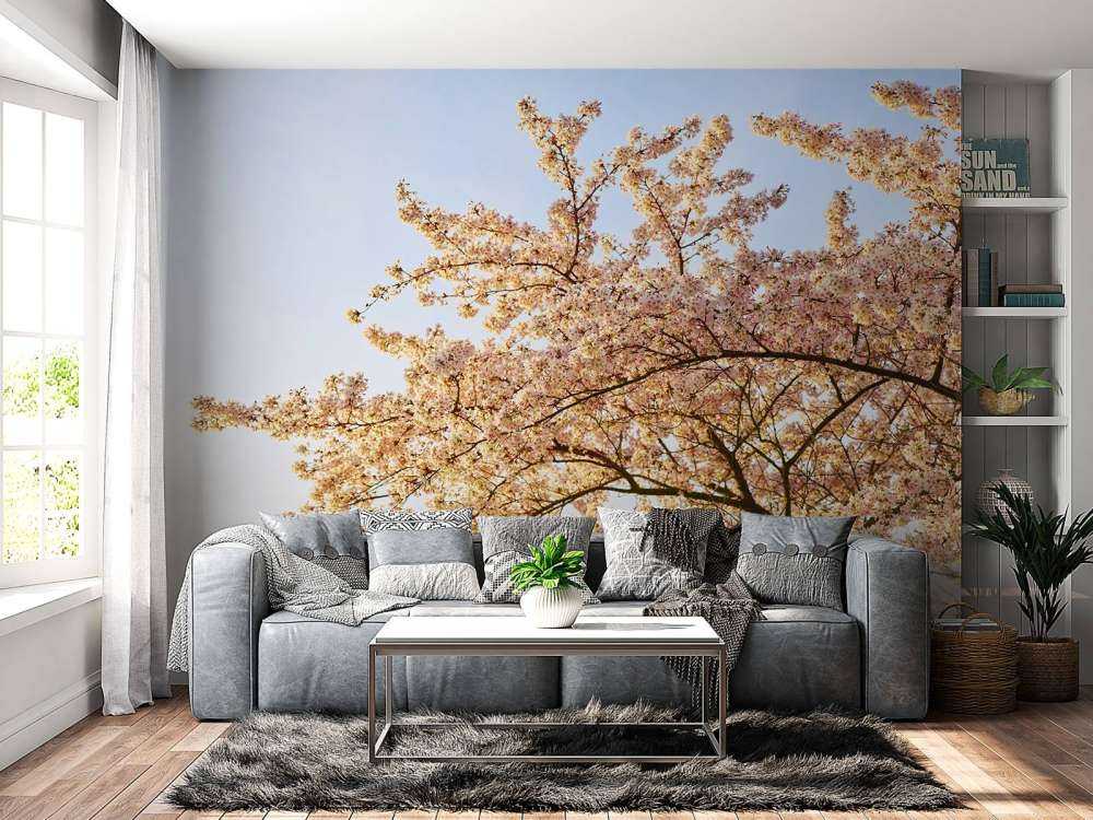 Une branche en fleur