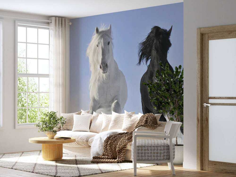 Cheval blanc et noir