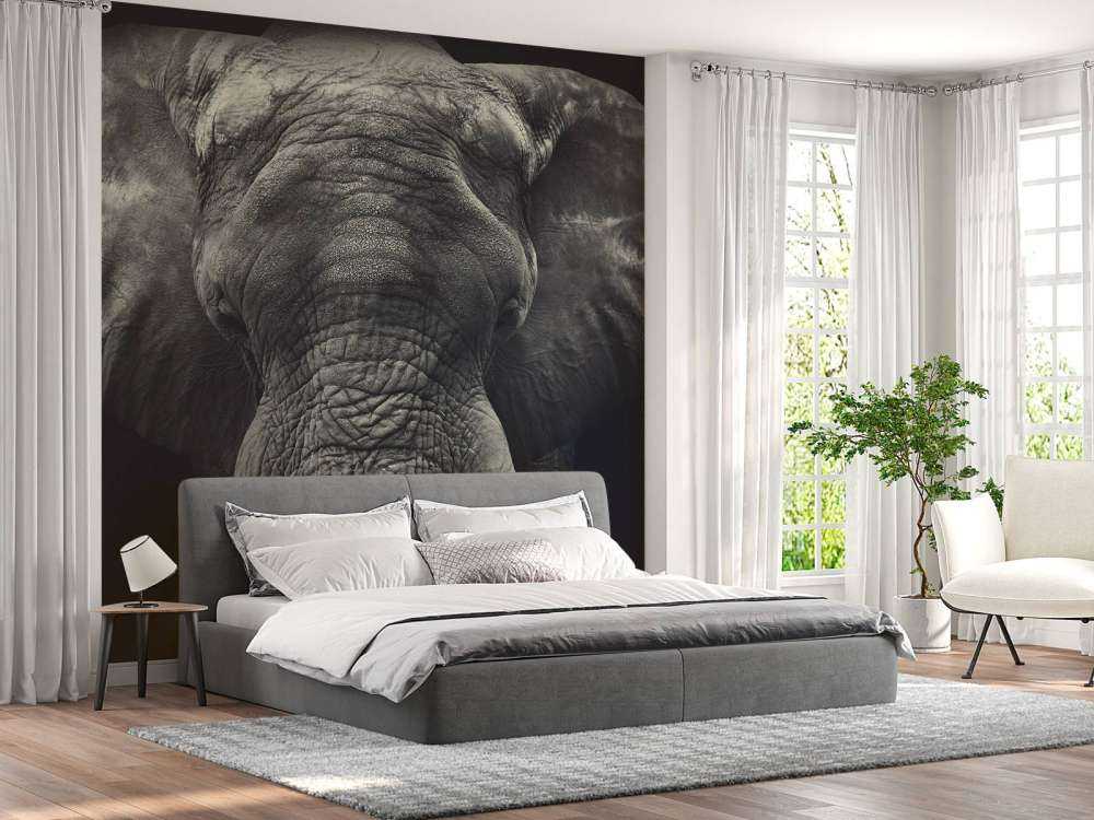 Gros plan sur un éléphant