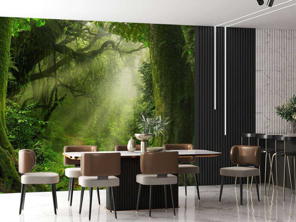 Jungle avec des rayons de soleil