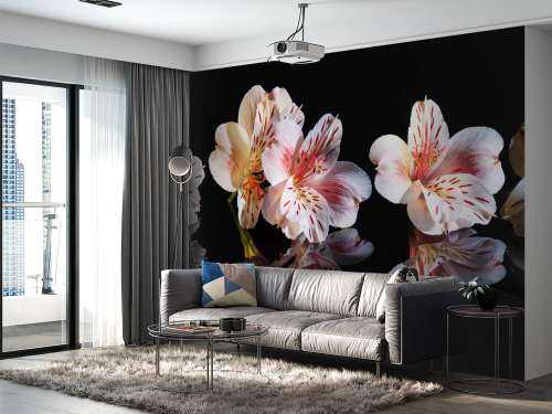 Fleurs d'alstroémère avec reflet