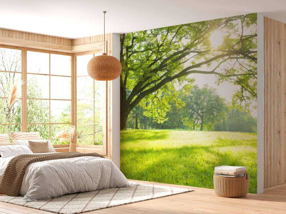 Bel arbre avec de l'herbe verte