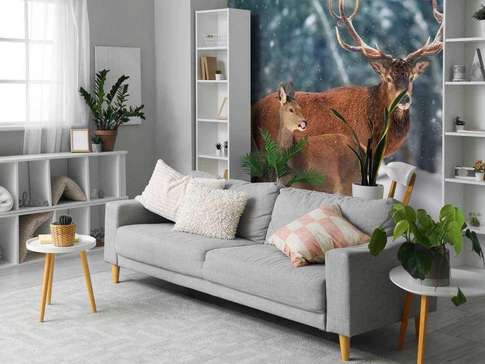 Cerf avec son faon