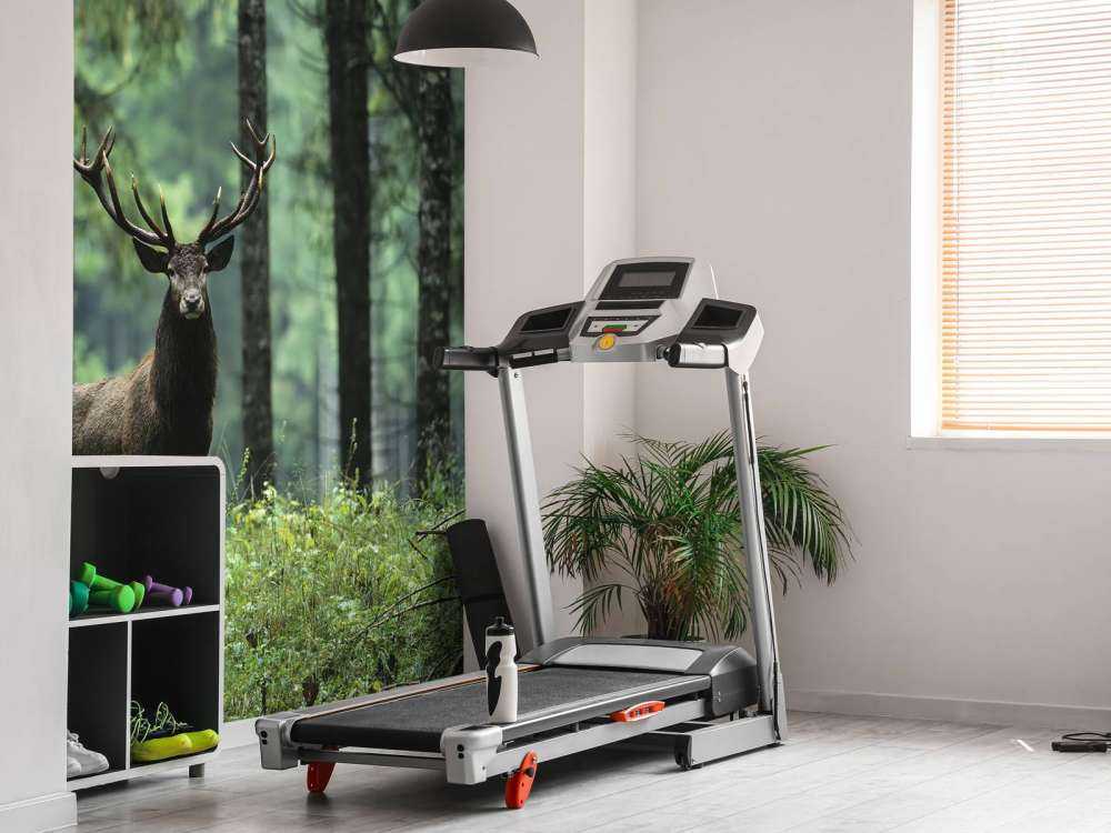 Grand cerf entre les arbres