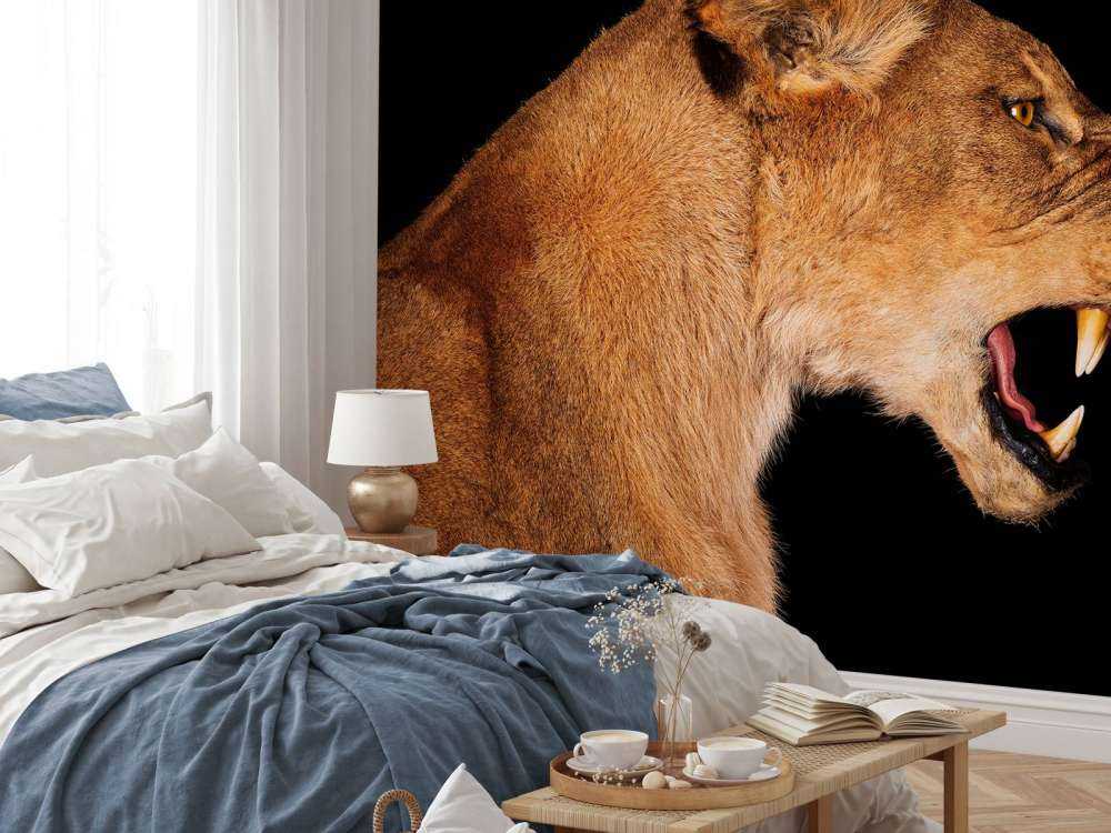 Lionne vue de côté