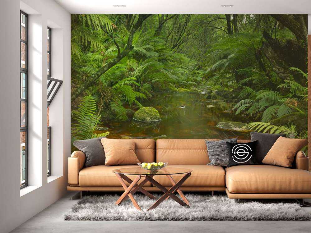 Rivière dans la forêt tropicale