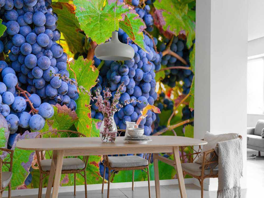 Raisins de cuve