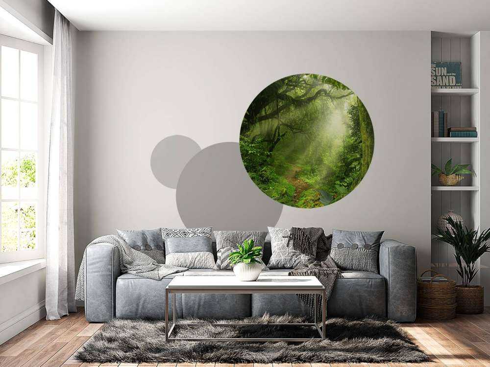 Jungle avec des rayons de soleil