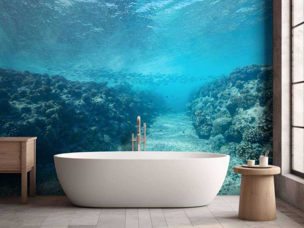 Monde sous-marin avec corail