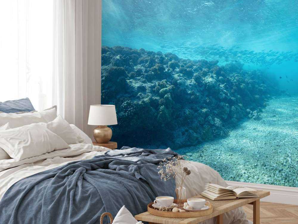 Monde sous-marin avec corail
