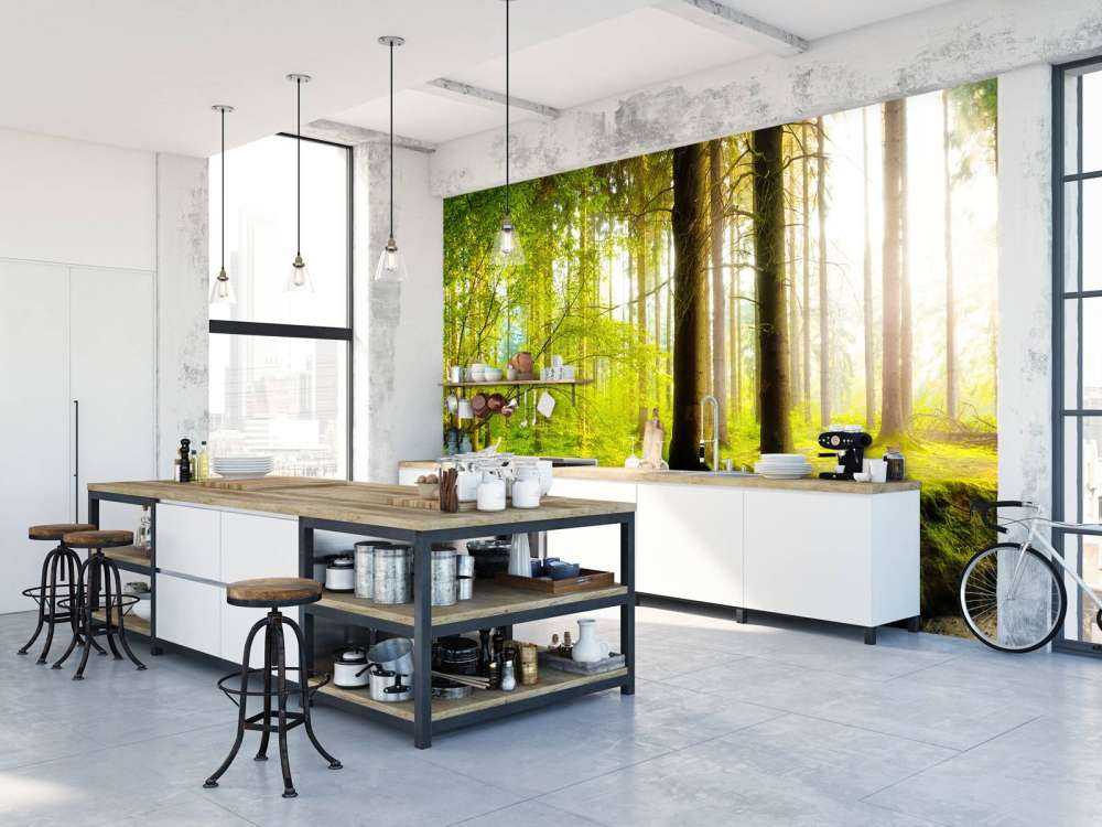 Forêt verte et fraîche