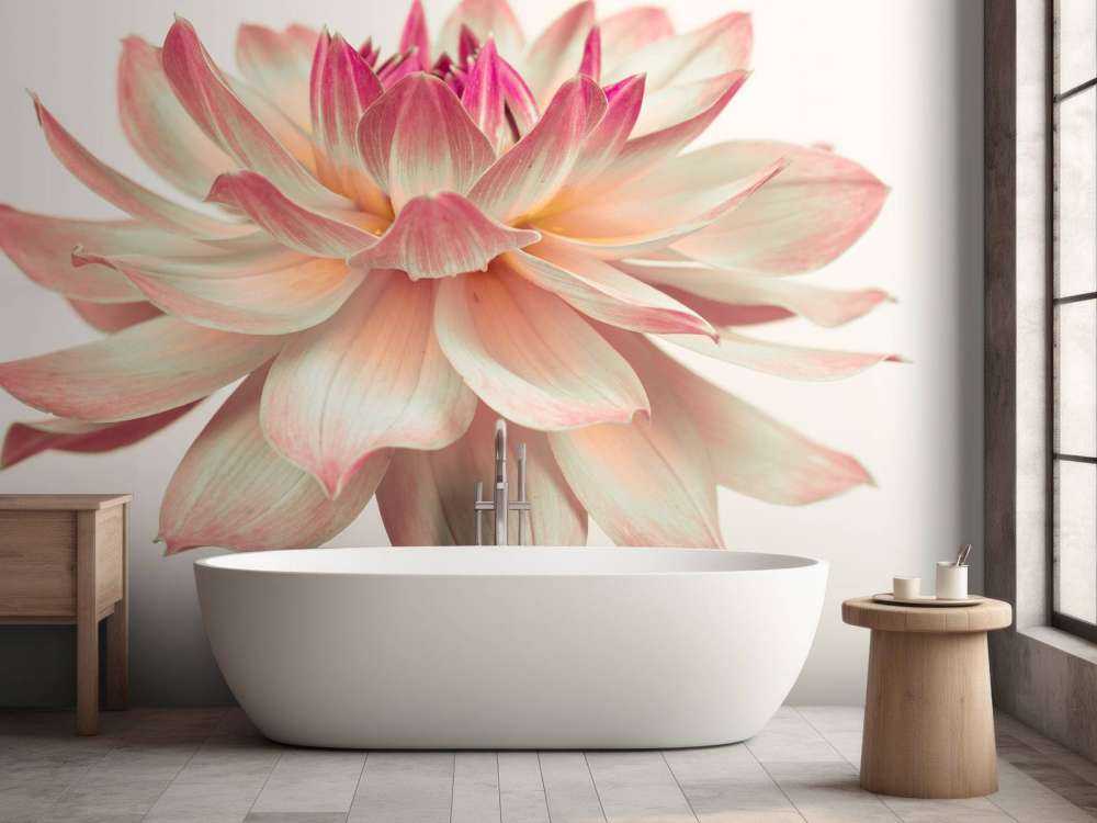 Fleur de dahlia
