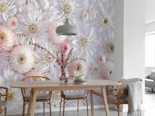 Dahlias roses