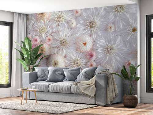 Dahlias roses