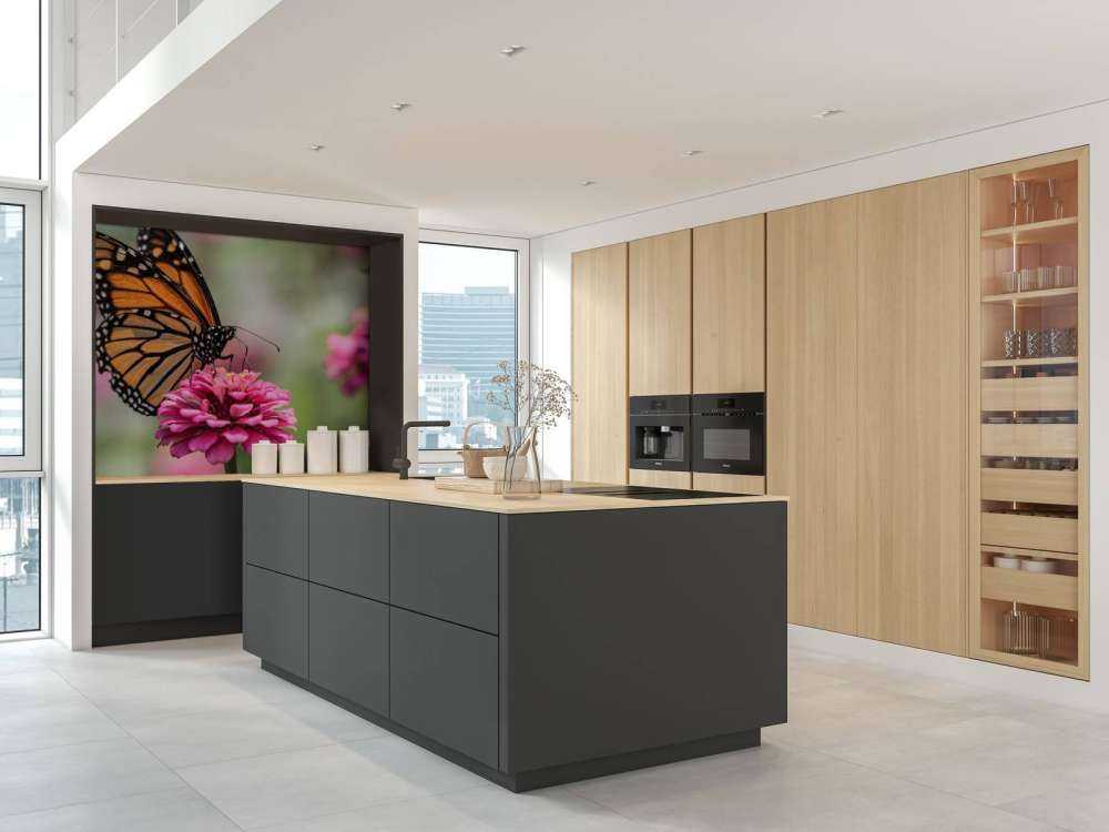 Papillon monarque