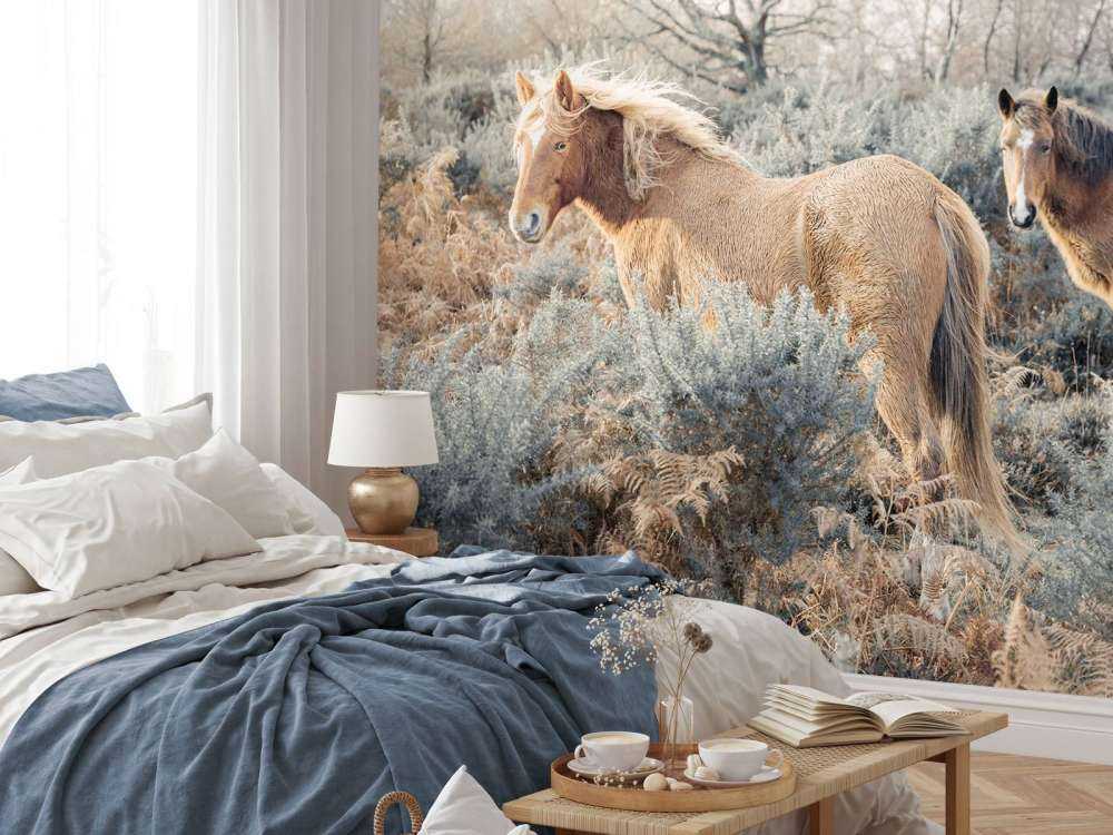 Chevaux sauvages