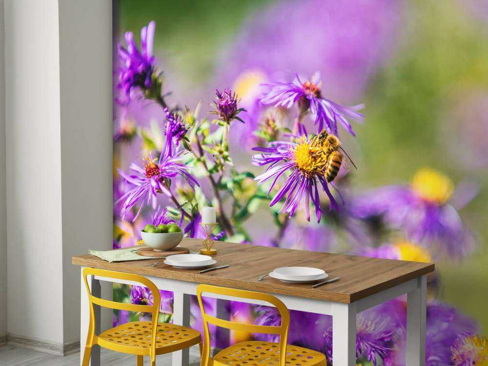 Fleurs violettes