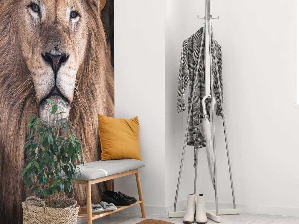 Portrait d'un lion