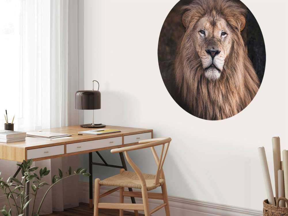 Portrait d'un lion
