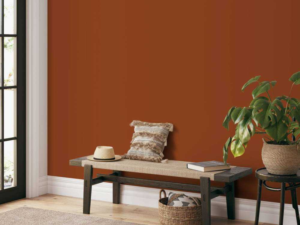 Orange épices