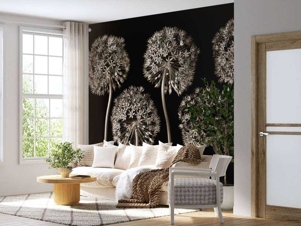 Allium