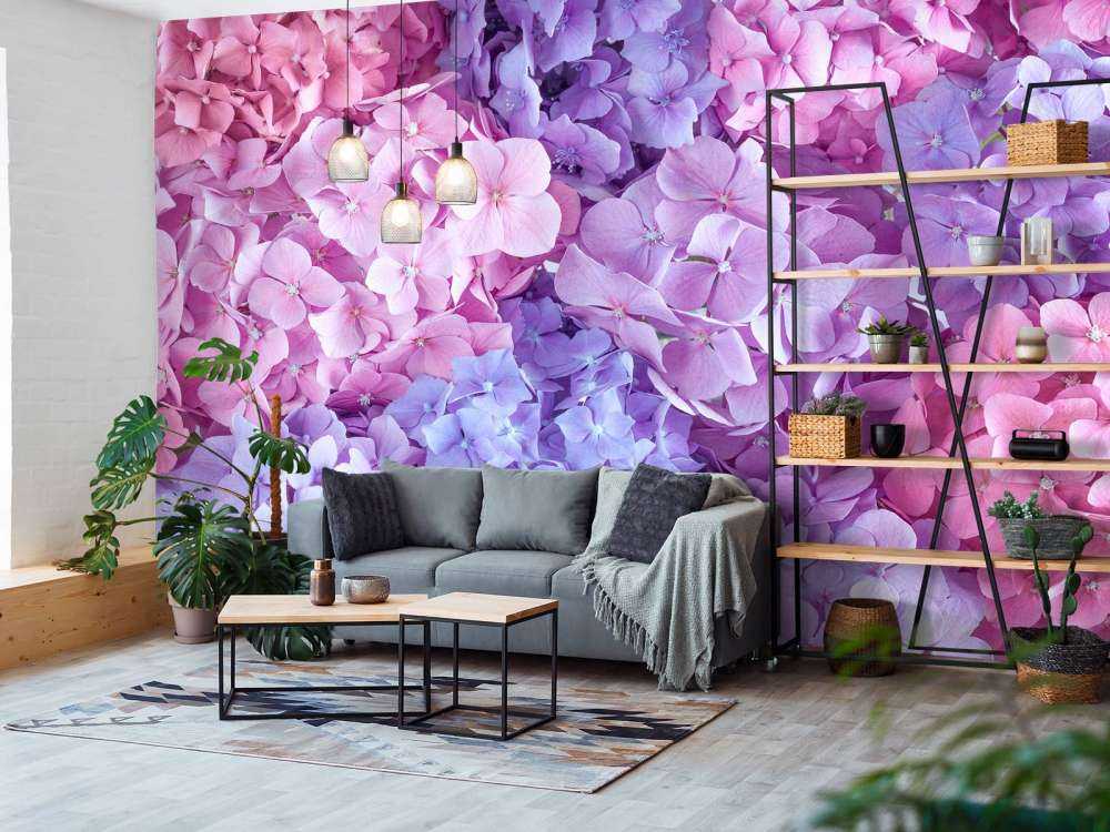 Hortensias multicolores