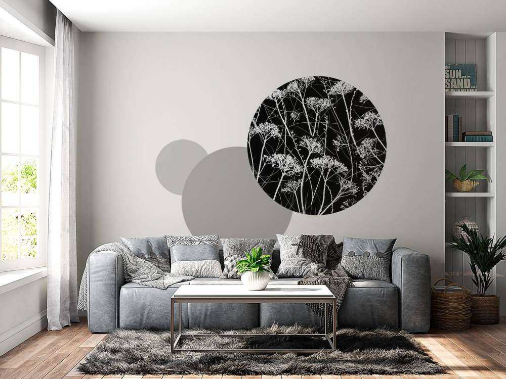 Silhouette de plantes séchées