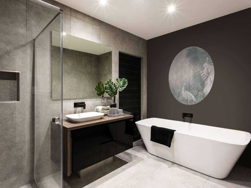 Élégance discrète du Paon