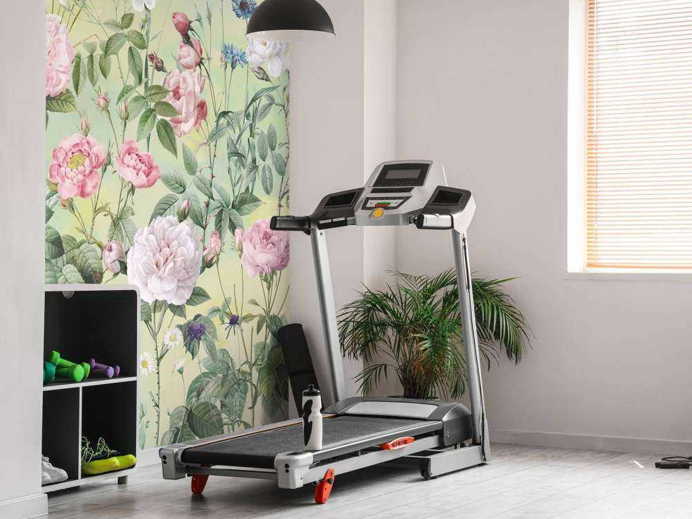 Jardin de roses romantiques