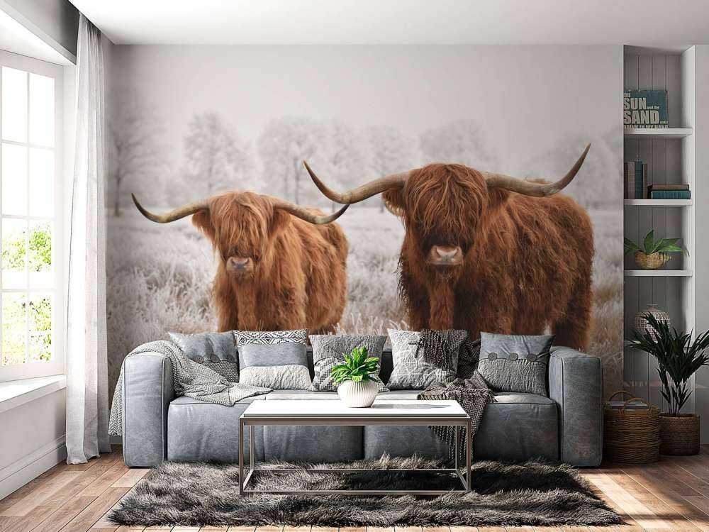 Hiver Highlander