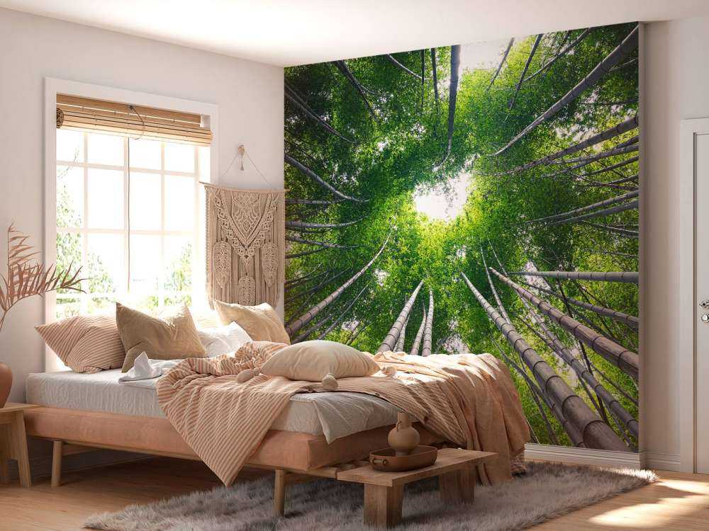 Forêt avec bambou