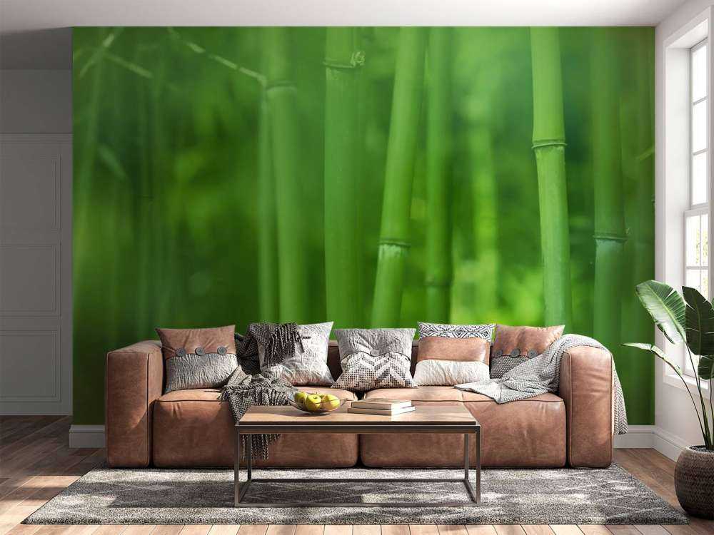 Bambou et feuilles